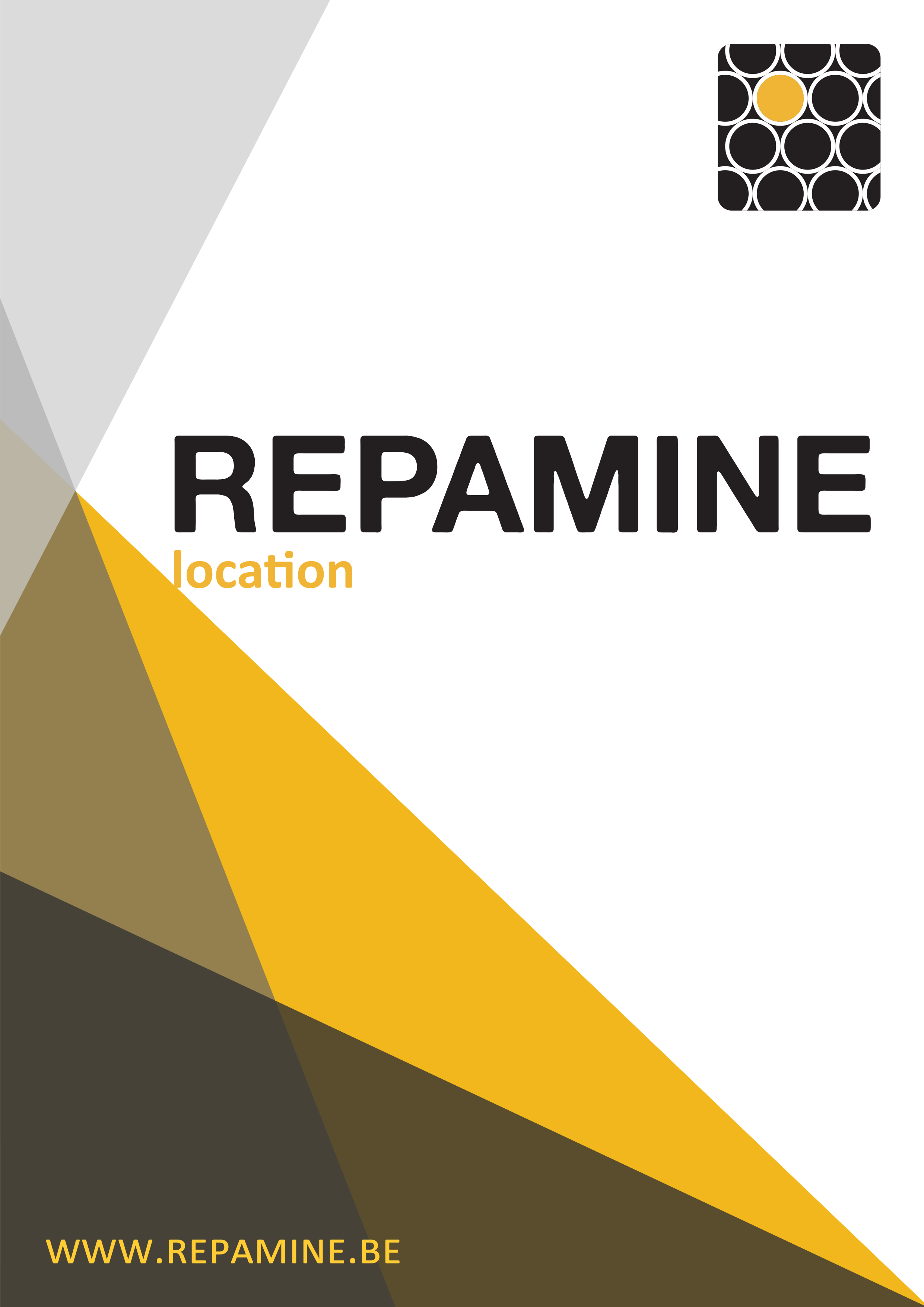 Repamine sa