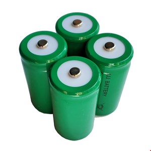 Batteries (4) pour détecteurs LR