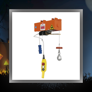 Treuil de levage 100kg monophasé 230V IORI