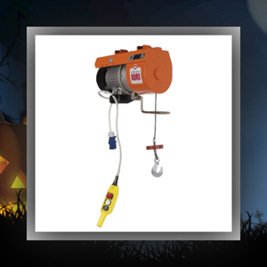 Treuil de levage 200kg monophasé 230V IORI