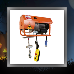 Treuil de levage 300kg monophasé 230V IORI